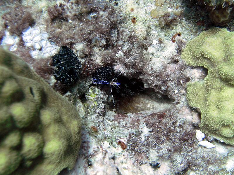 2011-09-07 14-37-14 Steven.JPG